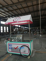 Kiosque à glaces avec robinet, vitrine à glaces, chariot de vente de nourriture, chariot de nourriture avec congélateur, camion de nourriture, chariot de vente de nourriture électrique