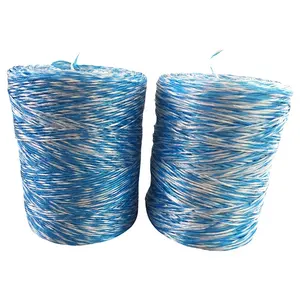 Polypropylene PP Baler Twine For Agriculture Packaging UV Protection With High Strength Hay Baling Banana Twine Binding Twine
