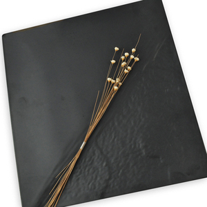 Assiettes plates en mélamine noire, pour restaurants et hôtels, vente en gros - Product Image 3