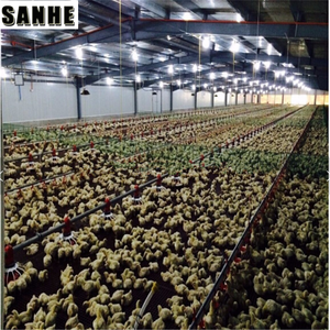 Xây dựng chuồng gà/gia cầm trang trại nhà thiết kế - Product Image 5