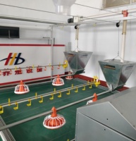 Équipement d'élevage avicole entièrement automatique à prix fournisseur chinois : mangeoires au sol et abreuvoirs à tétine pour poulets