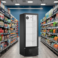 Réfrigérateur vertical à une porte LC-230, refroidisseur de boissons, réfrigérateur commercial, vitrine réfrigérée avec porte en verre, éclairage LED