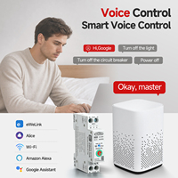 1P+N 63A 110V 220V Ewelink Wifi Smart Switch Pengukur Energi Meter Kwh Pemutus Sirkuit Timer Relay untuk Rumah Pintar