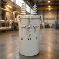 Transformateur monté sur poteau 10kva 15kva 25kva 50kva 75kva 100kva 167kva 13200v 12470v Équipement de distribution d'énergie monophasé