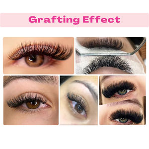 Abanicos de pestañas sueltas Super Matte Black 20D Hechos a mano 500 Fans Pro Curl Loose Narrow Promade Lashes - Product Image 4