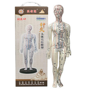 Modèle d'acupuncture chinoise masculin/féminin, modèle de points de pression et de méridiens, mannequin d'acupuncture pour l'enseignement de la médecine chinoise - Product Image 6