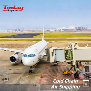 โซลูชันขนส่งสินค้าแบบควบคุมอุณหภูมิ Air+Express Cold Chain พร้อมบริการ DDP DDU ส่งตรงถึงสหรัฐอเมริกา สหราชอาณาจักร เยอรมนี ผ่านเครือข่าย UPS FEDEX แบบครบวงจร - Product Image 1