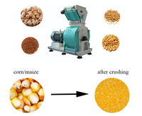 Broyeur à marteaux pour bois/riz/plantes forestières et agricoles