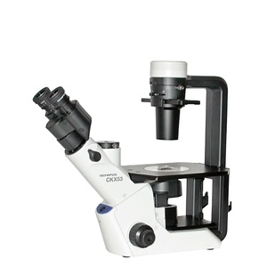 Microscopio Óptico Invertido Digital de Alta Calidad Olympus CKX53 para Cultivo Celular a Buen Precio - Product Image 3