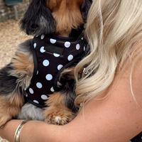 Harnais pour chien à pois noir et blanc avec logo au design personnalisé Fournisseur d'accessoires pour animaux de compagnie Ensembles de harnais à pois pour chiens
