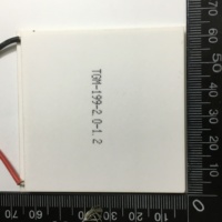Modul Pembangkit Listrik Termoelektrik Taidacent TGM-199-2.0-1.2 62*62MM 7V 4.8A Suhu 260 Derajat