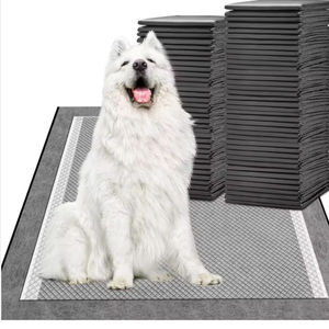 100PCS/<b>BAG</b> Disposable 6 Layer Absorbent Quick Drying Leak-proof Puppy Pads Dog <b>Pee</b> Training Pad - Product Image 1