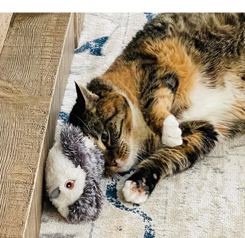 Modern Electric Flapping Bird Cat Toy - Interactive Chirping Vibration Wings Pet Toy