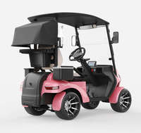 Voiturette de golf professionnelle certifiée CE à un siège, charge rapide, mini-buggy électrique à 4 roues pour l'entretien des terrains de golf, vente en gros