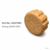 Bouchon de réservoir d'expansion de liquide de refroidissement de rechange de haute qualité 96420303 90500006 90500007 96536649 2457665 94539597 5490777 pour Chevrolet