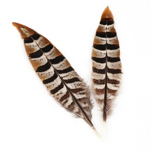 Piume Naturali Lavate Marroni di Piccolo Formato 10-15cm di Fagiano Reeves per Gioielli Fai da Te - Ingrosso Fabbrica Yiwu International Trade City - Product Image 6