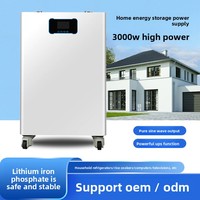 Batterie de stockage d'énergie domestique 220V, alimentation portable extérieure, batterie au lithium fer phosphate, prise en charge de la charge photovoltaïque, fonction UPS