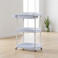 Chariot de Salon de Beauté avec Tiroir, Mobilier de Luxe pour Salon, Chariot à Main en Plastique et Métal, Étagère à 3 Niveaux, Mobile sur Roulettes
