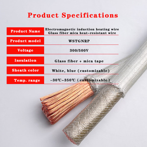 350 ℃   <span class=keywords><strong>สาย</strong></span>ไฟใยแก้วไมก้าทอ ทนความร้อนสูง สำหรับเชื่อมต่อภายในเตาอบแม่เหล็กไฟฟ้า - Product Image 2