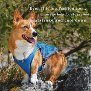 Lindo Chaleco de entrenamiento para perros Arco Iris, chaleco de refrigeración por evaporación de agua ajustable para clima cálido, chaleco de refrigeración para perros - Product Image 4