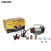 Pompe à Huile Électrique Portable 12V DC en Gros, 175W, 40L/min, Aspiration 5m, Hauteur de Refoulement 10m, Pompe de Transfert de Carburant Diesel Modèle 12V OEM ODM