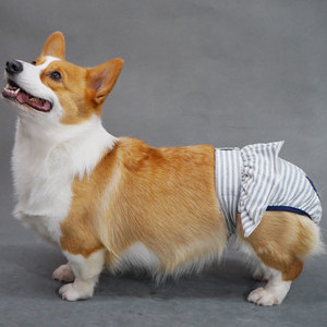 Culottes menstruelles pour chien femelle, en coton rayé, respirantes, pour chiens de petite et moyenne taille - Product Image 3