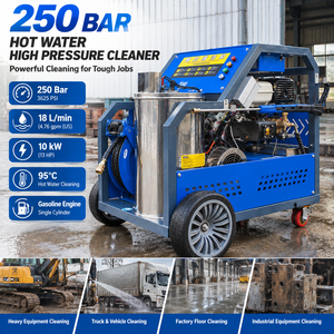 Idropulitrice ad Alta Pressione 250 Bar, Lavatrice Industriale ad Acqua Calda, 18L/min, 10kW, Macchina per Pulizia a Benzina - Product Image 4