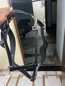 Nueva y Exclusiva Diadema de Cuero Hecha a Mano con Cristales y Pedrería para Caballo, Elegante, Personalizable en Color y Tamaño - Product Image 3
