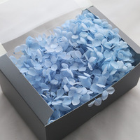 TC, venta al por mayor, flor natural preservada, boda, decoración del hogar, Día de San Valentín, Hortensia eterna de Anna para regalo de novia