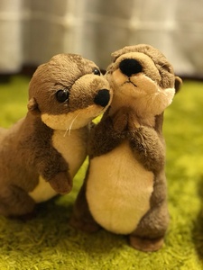Nutria <span class=keywords><strong>de</strong></span> Río euroasiático <span class=keywords><strong>de</strong></span> peluche, animales salvajes realistas, juguetes <span class=keywords><strong>de</strong></span> peluche, <span class=keywords><strong>nutrias</strong></span> suaves realistas, superventas - Product Image 3
