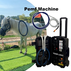 Máquina PEMF Portátil para Caballos con Doble Canal para Relajar los Músculos Tensados y Aliviar el Estrés Físico - Product Image 1