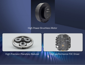 MG10015-i10v2(RMD-X10) 12-<span class=keywords><strong>60V</strong></span> अधिकतम Toruqe 53N.m डीसी Brushless गियर Exoskeleton रोबो मोटर - Product Image 2