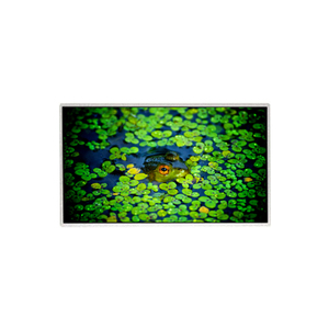 TFT LCD CELL HR236WU3-301 23.6 นิ้ว 1920RGB*1080 FHD 93PPI ราคาต่ำหน้าจอแสดงผล LCD OEM สำหรับจอภาพเดสก์ท็อป - Product Image 1