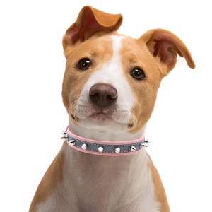 लक्जरी क्लासिक कुत्ते बुलेट हेड रिवेट कॉलर सुपर फाइबर सामग्री प्रतिबिंबित व्यक्तिगत टिकाऊ एंटी-काटने वाले गले - Product Image 2