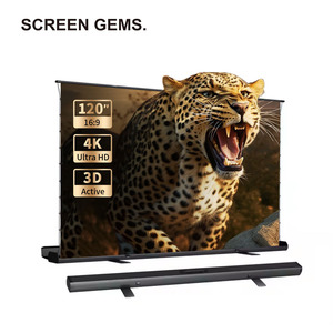 Pantalla de Proyección Manual de <span class=keywords><strong>80</strong></span> Pulgadas 16:9, Plegable, Portátil, para Exteriores, con Bolsa de Transporte, 4K HDR, Anti-Luz - Product Image 6