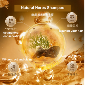 Marque privée personnalisée OEM Shampooing et après-shampooing nourrissant avec contrôle de l'huile Ensemble de soins capillaires antipelliculaires - Product Image 4