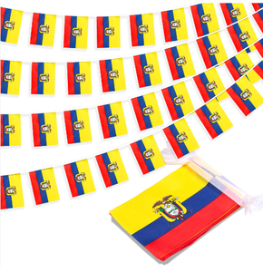 ธงประดับแบบสายรุ้งของเอกวาดอร์ ลายธงชาติเยอรมัน สำหรับการแข่งขันฟุตบอลปี 2026 ตกแต่งภายในและภายนอกอาคาร ดีไซน์ทุกประเทศ ขายส่ง - Product Image 1