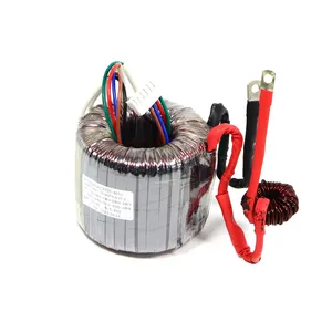 Oem 100W 300W 1000W 2000W 3000W 5000W 12V 24V Transformador Toroidal para amplificador de audio UPS 500VA