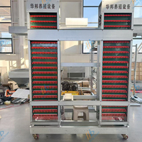 Équipement d'élevage de poulet automatique de ferme avicole de type H Cage à poulet à 6 niveaux pour poules pondeuses