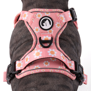 <span class=keywords><strong>Harness</strong></span> Anjing Berkualitas Tinggi Anti Tarik, Mudah Digunakan, Reflektif, Dapat Disesuaikan, Bahan Oxford untuk Anjing Besar - Product Image 6