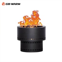 Chauffe-terrasse à granulés de bois en acier inoxydable, foyer sans fumée, conforme RoHS, pour camping en extérieur, fabricant OEM