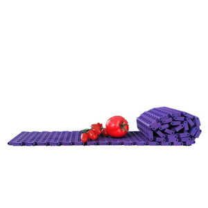 Módulo <span class=keywords><strong>de</strong></span> Banda <span class=keywords><strong>Transportadora</strong></span> 4012, Malla Abierta 4012, <span class=keywords><strong>Cinta</strong></span> <span class=keywords><strong>de</strong></span> Malla Recta 4012 para Limpieza <span class=keywords><strong>de</strong></span> Vegetales - Product Image 6