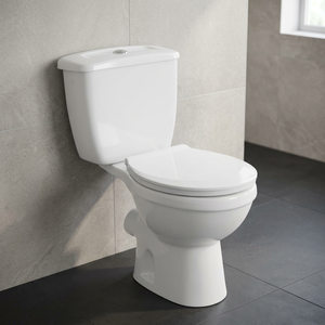 โถสุขภัณฑ์เซรามิกแบบสองชิ้น Aqua พร้อมระบบ S-Trap และ P-Trap แบบ Dual Flush ช่องเติมน้ำด้านข้าง - Product Image 3