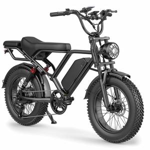 Vélo électrique haute performance 250W, pneus larges de 20 pouces, vélo de montagne électrique à suspension intégrale, tout-terrain, pour chemins en pierre - Product Image 1