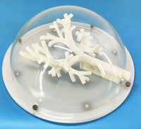 Modelo de Entrenamiento de Broncoscopio para Ciencias Médicas, Modelo de Bronquios para Enseñanza, Modelo de Ramificación Bronquial de Grado 6, Modelo de Entrenamiento Endoscópico