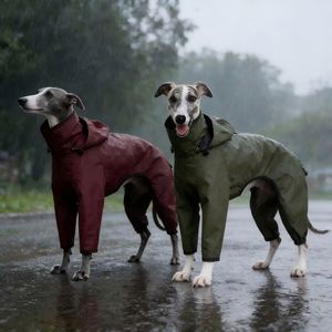 Suministros para Mascotas, Traje Impermeable Personalizado para Perros, Whippet, Greyhound, <span class=keywords><strong>Chubasquero</strong></span> Deportivo para Perros - Product Image 6
