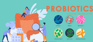 Logo privé Capsules prébiotiques probiotiques suppléments probiotiques enzymes digestives - Product Image 6