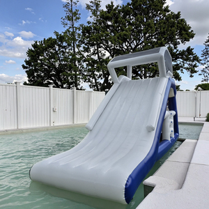 Grande scivolo triangolare gonfiabile diretto della fabbrica per la piscina/<span class=keywords><strong>mare</strong></span>/<span class=keywords><strong>fiume</strong></span>/cortile - Product Image 2