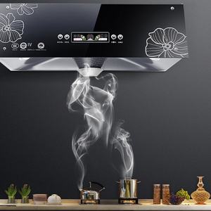 <span class=keywords><strong>Sortie</strong></span> d'usine européenne <span class=keywords><strong>hotte</strong></span> <span class=keywords><strong>de</strong></span> cuisinière en acier inoxydable haute aspiration grand évent électrique Style ancien <span class=keywords><strong>cuisine</strong></span> domestique - Product Image 4