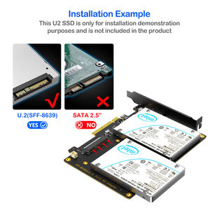 U.<span class=keywords><strong>2</strong></span>คู่ SSD PCIe X8อะแดปเตอร์4.0สำหรับเดสก์ท็อปเซิร์ฟเวอร์รองรับ<span class=keywords><strong>2</strong></span> U.<span class=keywords><strong>2</strong></span> SFF-8639 HDD Soft RAID ต้องมีการแยก PCI-E สนับสนุนสต็อก - Product Image 4